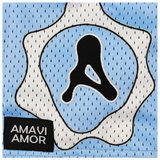 AA Reversible Basketball Shorts