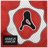 AA Reversible Basketball Shorts